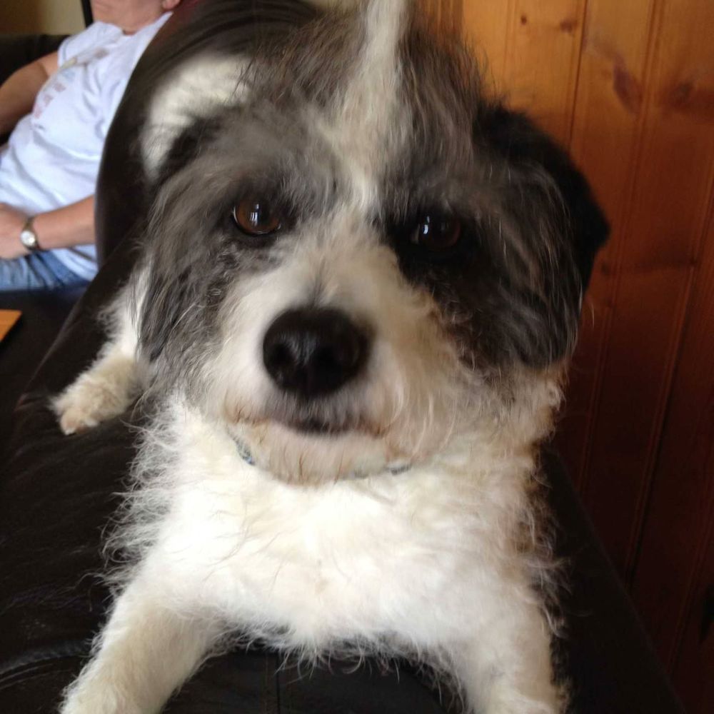 Meet your Posher, Charlci